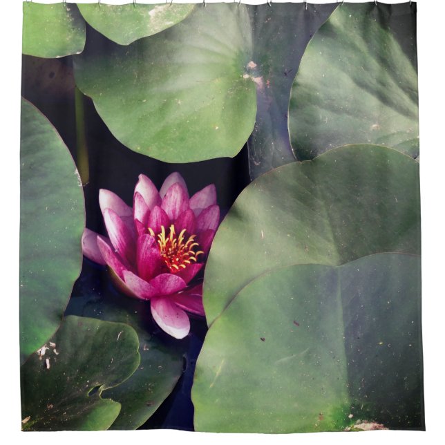Rosa Lotus-Blume Duschvorhang (Vorderseite)