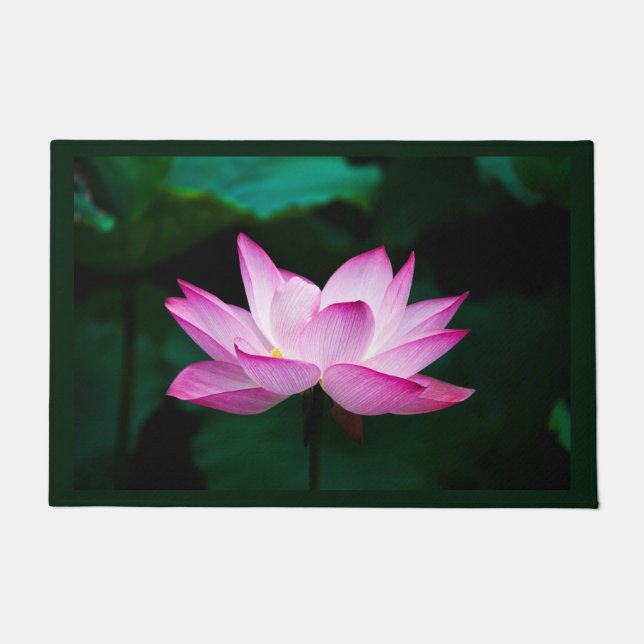 Rosa Lotus-Blume Fußmatte (Vorderseite)