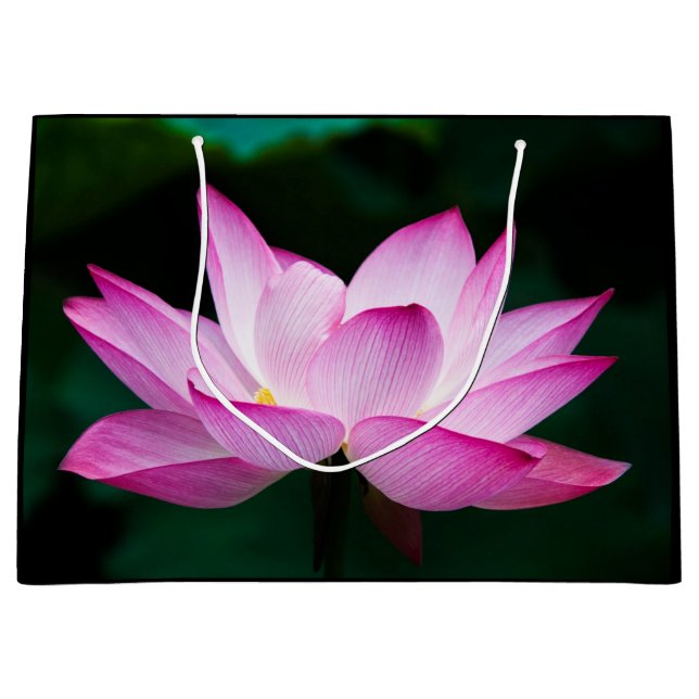 Rosa Lotus-Blume Große Geschenktüte (Vorderseite)