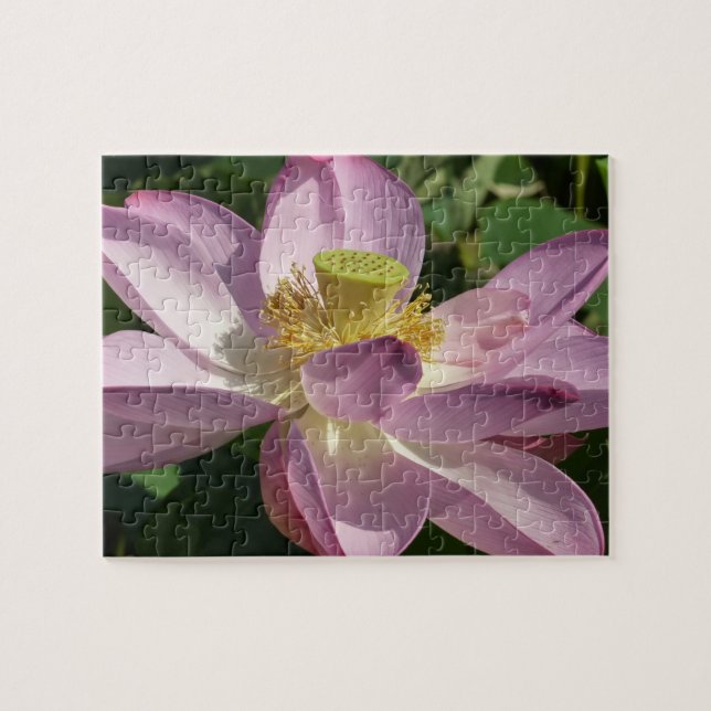 Rosa Lotus Blume II Sommerblume Puzzle (Horizontal)
