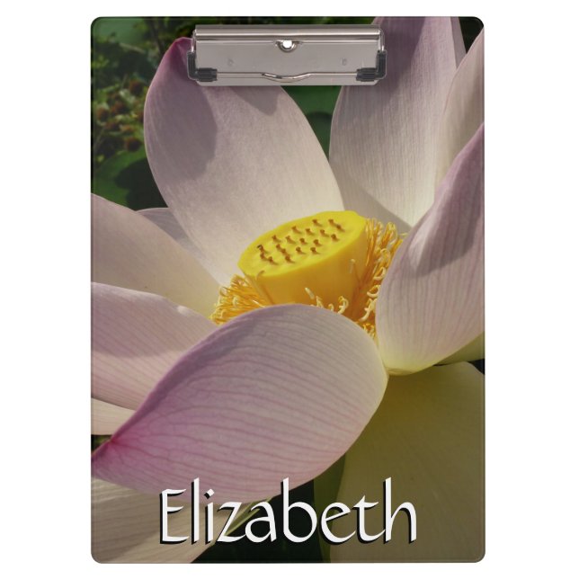 Rosa Lotus Blume III Sommer-Blütenzeit Klemmbrett (Vorderseite)
