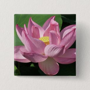 Rosa Lotus Blume IV Button