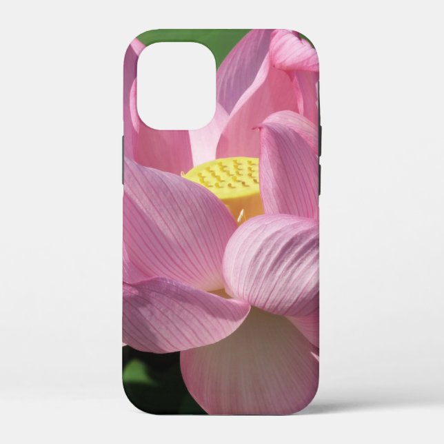 Rosa Lotus Blume IV Case-Mate iPhone Hülle (Rückseite)