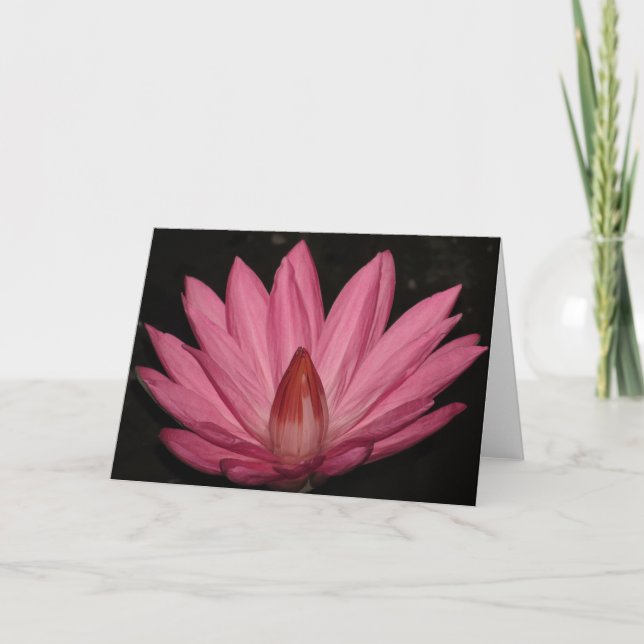 Rosa Lotus-Blume Karte (Vorderseite)