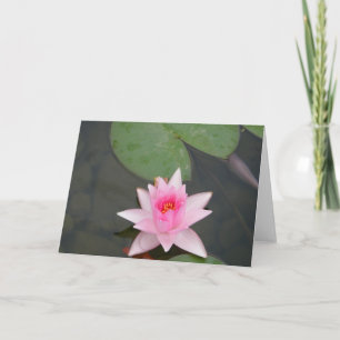 Rosa Lotus-Blume Karte