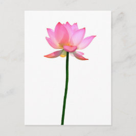 Rosa Lotus-Blume Postkarte