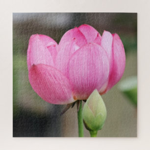 Rosa Lotus-Blume Puzzle