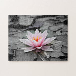 Rosa Lotus-Blume Puzzle