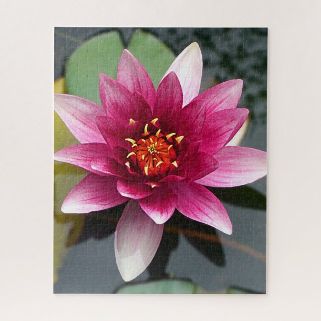 Rosa Lotus-Blume Puzzle (Vertikal)