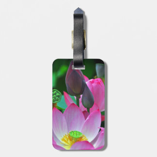Rosa Lotus-Blüten Gepäckanhänger