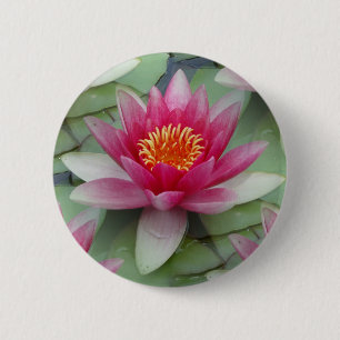 Rosa Lotus Button