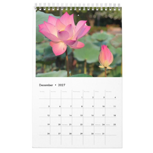 Rosa Lotus Calendar Kalender (Dez 2027)