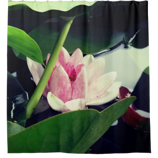 Rosa Lotus Duschvorhang (Vorderseite)