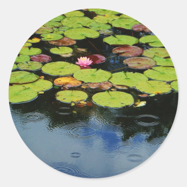 Rosa Lotus in Regen Runder Aufkleber (Vorderseite)
