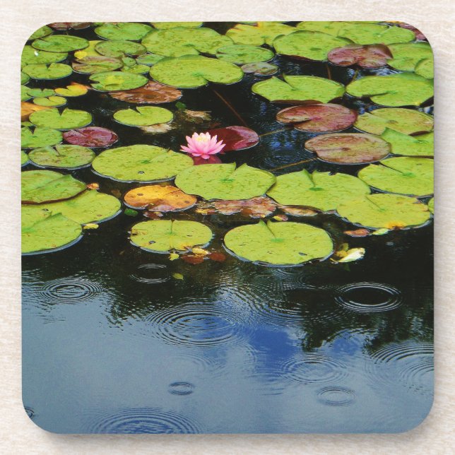 Rosa Lotus in Regen Untersetzer (Vorderseite)