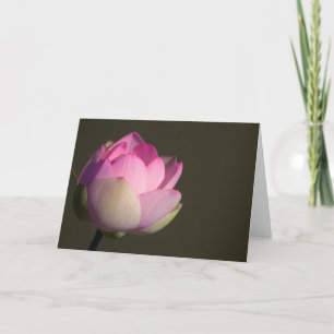 Rosa Lotus-Karte Karte