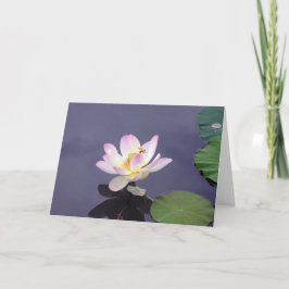 Rosa Lotus mit Drache-Fliege Karte