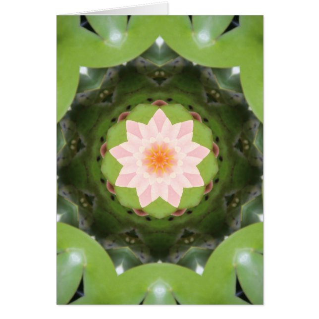 Rosa Lotus Refraktion (Vorne)