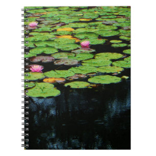 Rosa Lotus schwarz Notizblock