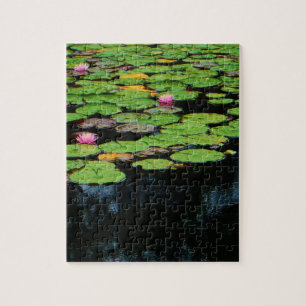 Rosa Lotus schwarz Puzzle
