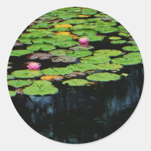 Rosa Lotus schwarz Runder Aufkleber