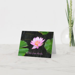 Rosa Lotus-Wasserlilie