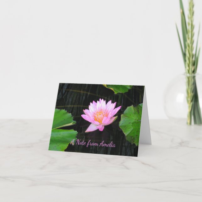 Rosa Lotus-Wasserlilie (Vorderseite)