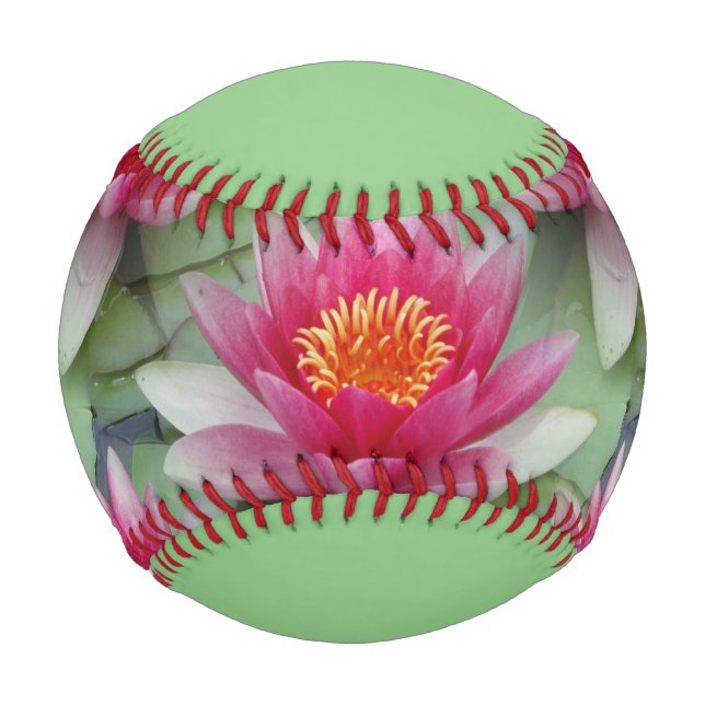 Rosa Lotus Wasserlilie Baseball (Vorderseite)