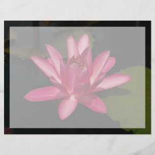Rosa Lotus Wasserlilie Blume