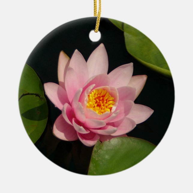 Rosa Lotus Wasserlilie Blume Keramikornament (Vorne)