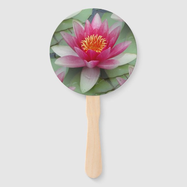 Rosa Lotus Wasserlilie Fächer (Vorderseite)