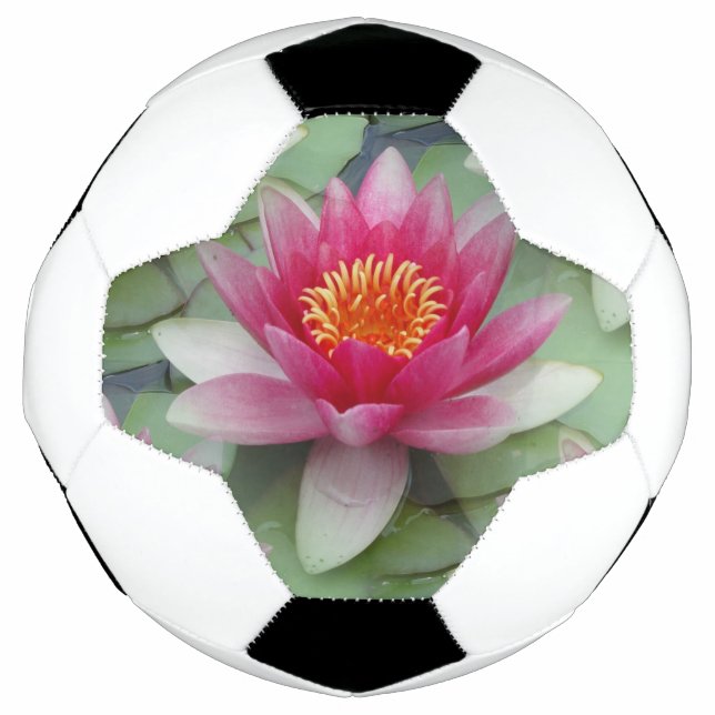 Rosa Lotus Wasserlilie Fußball (Vorderseite)