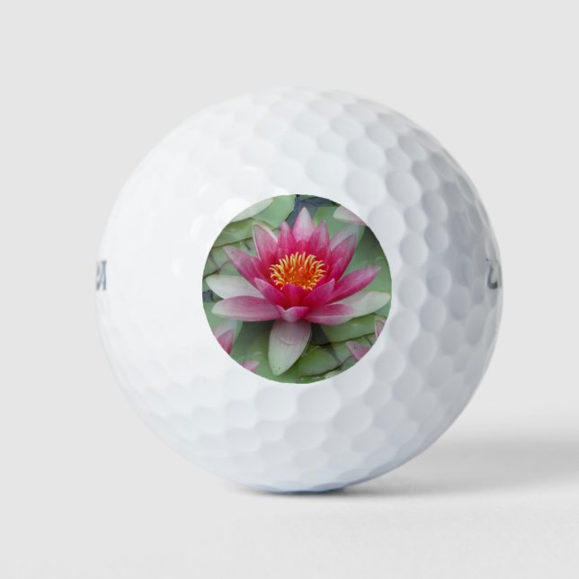 Rosa Lotus Wasserlilie Golfball (Vorderseite)