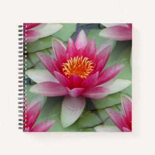 Rosa Lotus Wasserlilie Notizbuch