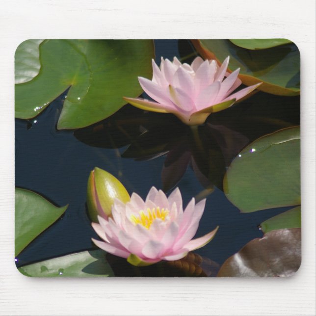 Rosa Lotus-Wasserlilien Maus-Pad Mousepad (Vorne)