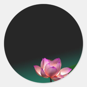 Rosa Lotuskleber Runder Aufkleber