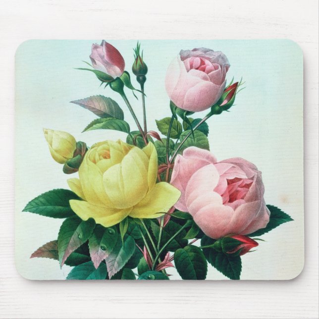 Rosa Lutea und Rosa Indica Mousepad (Vorne)