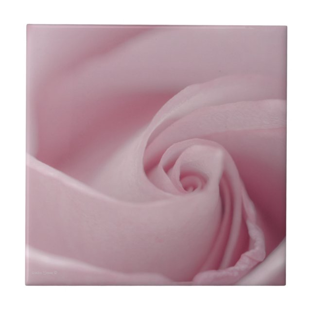 Rosa Macro Fliese (Vorderseite)