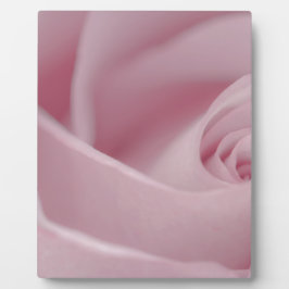 Rosa Macro Fotoplatte