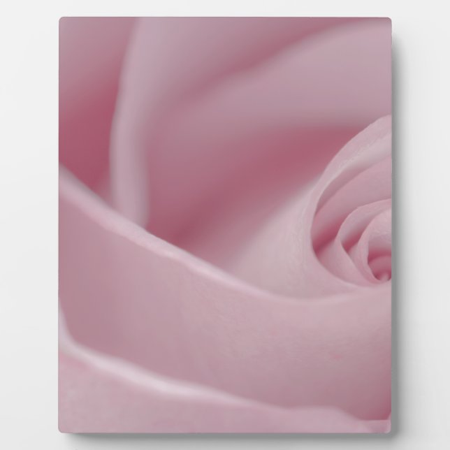 Rosa Macro Fotoplatte (Vorderseite)