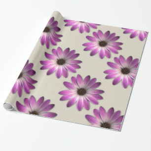 Rosa Magenta Gänseblümchen auf Cremeleder-Druck Geschenkpapier
