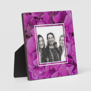 Rosa Magenta-Hydrangeas-Rose Fotoplatte