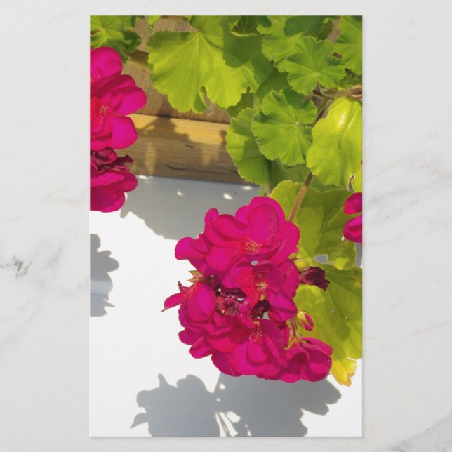 Rosa Magenta Rosa Blume Briefpapier (Vorderseite)