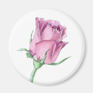Rosa Magnet