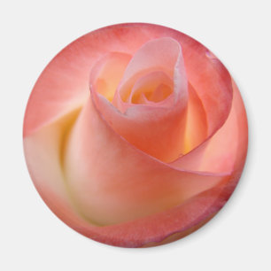 Rosa Magnete Floral Valentine personalisieren