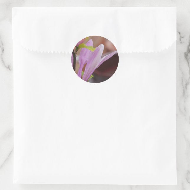 Rosa Magnolia-Blume Runder Aufkleber (Tasche)