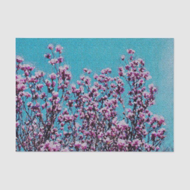 Rosa Magnolia Blüte Blauer Himmel Enttäuschung Seidenpapier (Vorderseite)