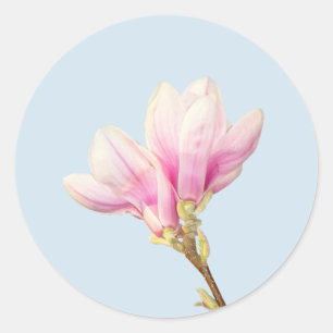 Rosa Magnolien-Aufkleber Runder Aufkleber