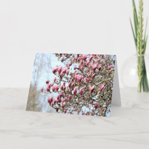 Rosa Magnolien Karte