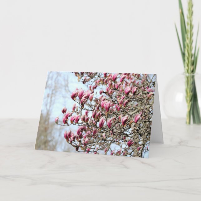 Rosa Magnolien Karte (Vorderseite)